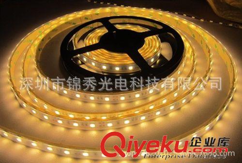 led,5630，12V低壓防水燈條 單色套管燈帶 IP67 全彩 3528，5050原始圖片2