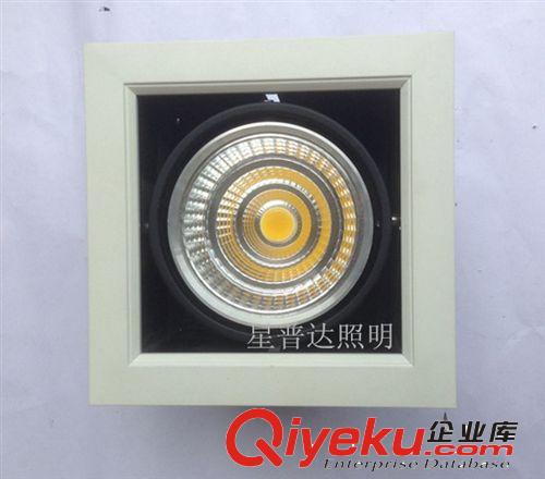 LED格柵燈 斗膽燈 COB天花射燈
