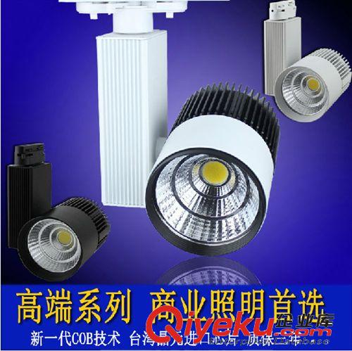 雙頭COB天花燈 LED射燈 大功率 LED天花燈 3W 6W 10W 14W 20W