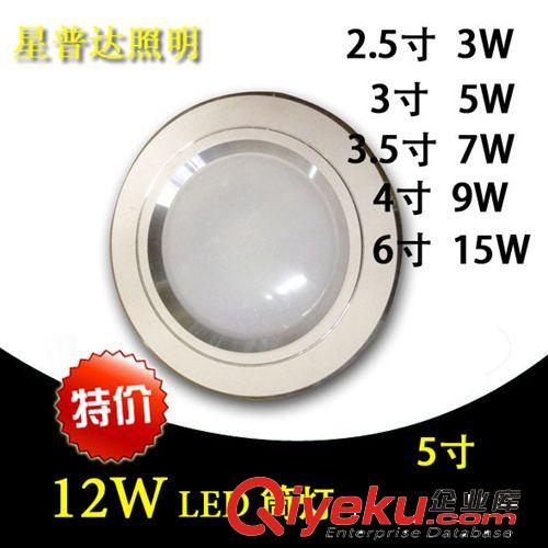 廠家直銷 6寸 15W LED 大功率筒燈 亮白