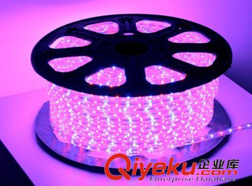 本供應(yīng)高壓220V LED燈帶 3528貼片 60珠 LED防水燈帶