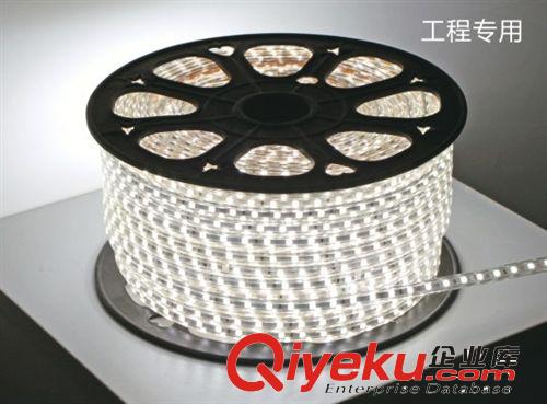 廠家直銷高壓220V LED燈帶  5730貼片 60珠 LED防水燈帶