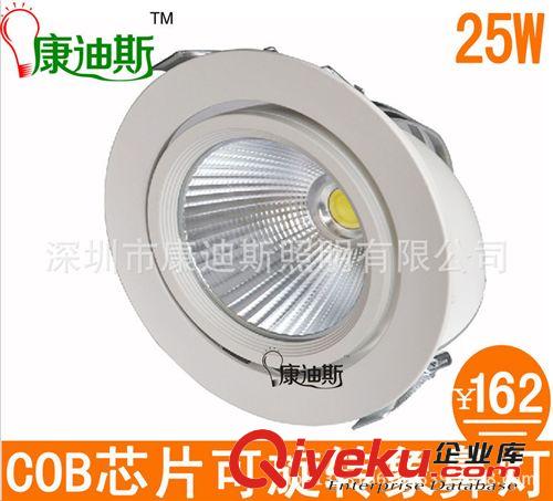 25W COB象鼻燈LED象鼻燈 象鼻燈 可旋轉象鼻射燈 360度可旋轉射燈原始圖片3