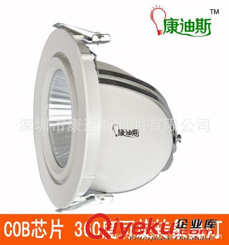 15W COB象鼻燈LED象鼻燈 象鼻燈 可旋轉象鼻射燈 360度可旋轉射燈原始圖片3