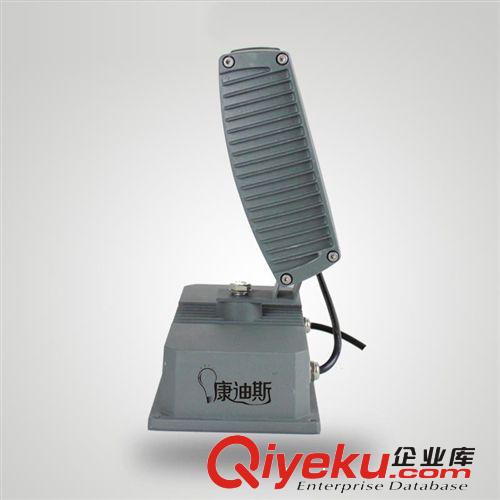 36WLED投光燈RGB投射燈 景觀園林工程燈戶外射燈花園廣場燈防水原始圖片3