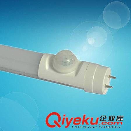 LED燈管,LED日光燈管,日光燈,T81/3燈管,LED燈,6年專業出口LED