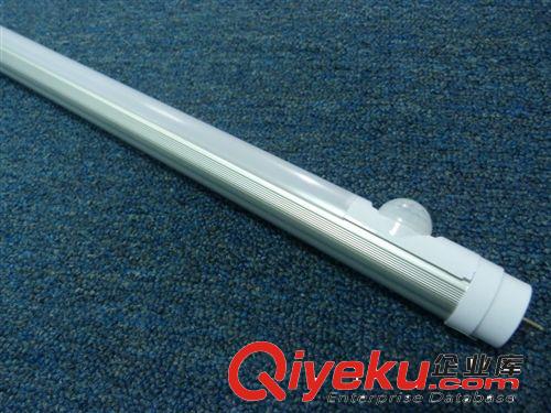 T8一體化LED日光燈管廠家 T8節能LED日光燈管 感應LED日光燈管原始圖片2