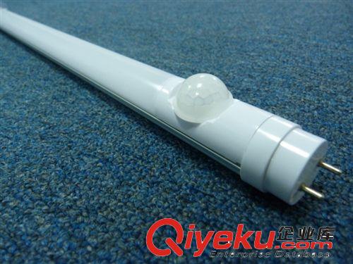 T8一體化LED日光燈管廠家 T8節能LED日光燈管 感應LED日光燈管原始圖片3