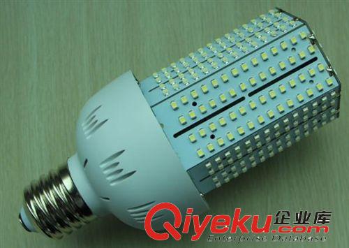 一星LED玉米燈 高亮5W-40瓦燈泡路燈庭院燈 可定制恒流12V110V