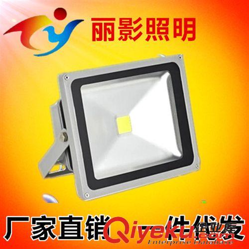 廠家批發(fā)背包投光燈10w/20w/30w/50w/70w100w泛光燈led大功率射燈