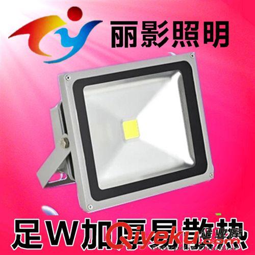 廠家直銷 LED投光燈50W 10W 20W 30W 工程廣告招牌泛光燈70W 100W