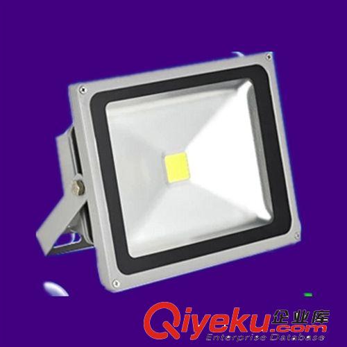 廠家直銷 LED投光燈50W 10W 20W 30W 工程廣告招牌泛光燈70W 100W