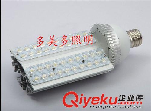 橫插燈 玉米燈 18W 24W 32W 36W 40W庭院燈 廠價直銷原始圖片3