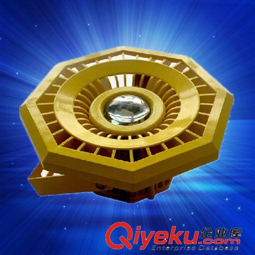 30w50w80w100W LED防爆燈投光泛光工礦燈廠房投射