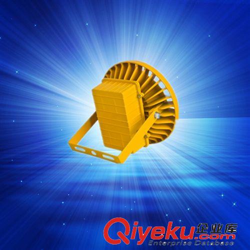 30w50w80w100W LED防爆燈投光泛光工礦燈廠房投射原始圖片2