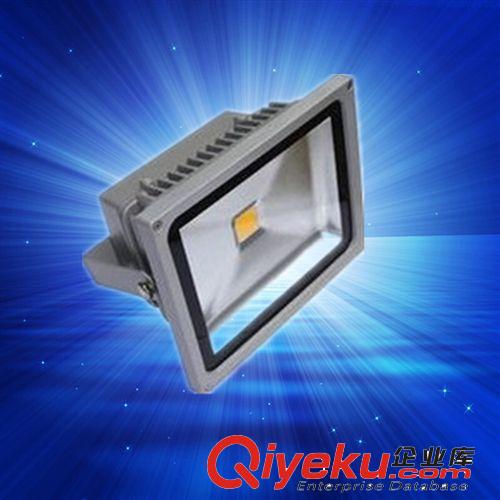 led投光燈led泛光燈30w廠家供應工程大功率集成戶外照明廣告投射原始圖片2