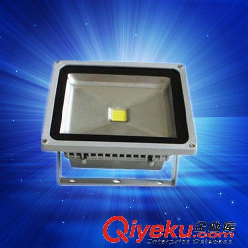led投光燈led泛光燈30w廠家供應工程大功率集成戶外照明廣告投射原始圖片3