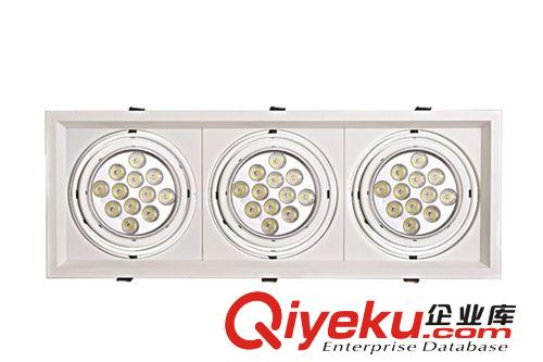 雙頭射燈LED格柵射燈LED筒燈天花斗膽燈長方形室內(nèi)燈豆膽燈全套
