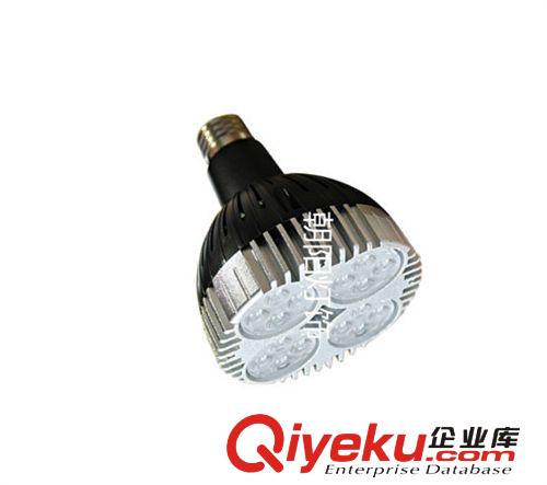 廠家直銷帶風扇Par30 E27 30W 40W帕燈LED射燈軌道射燈店鋪專用