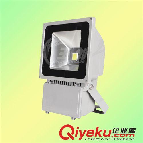 供應(yīng)高品質(zhì)LED投光燈泛光燈LED射燈樓體亮化園林景觀亮化燈具原始圖片2