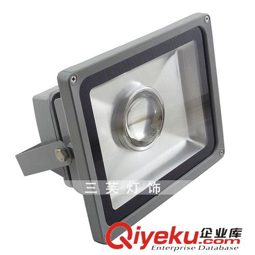 廠家直銷 LED集成透鏡投光燈30W 泛光燈 LED聚光投光燈原始圖片2