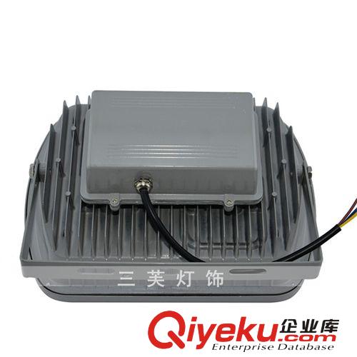 廠家直銷 LED集成透鏡投光燈30W 泛光燈 LED聚光投光燈原始圖片3