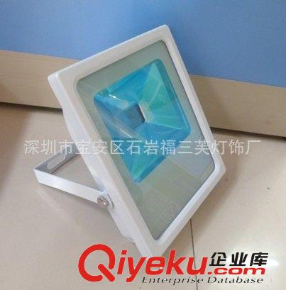 供應(yīng)新款 10W厚料一體投光燈 一體泛光燈套件 投光燈外殼原始圖片3