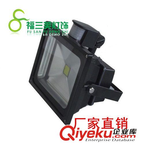 供應高質量LED投光燈外殼/泛光燈外殼10w20w30w50w70w100w150w
