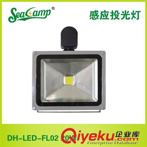 【zp】供应大海照明感应投光灯DH-LED-FL02 30W 厂家批发