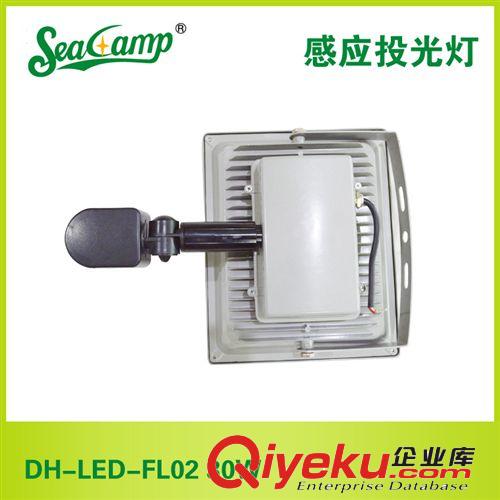 【zp】供应大海照明感应投光灯DH-LED-FL02 30W 厂家批发