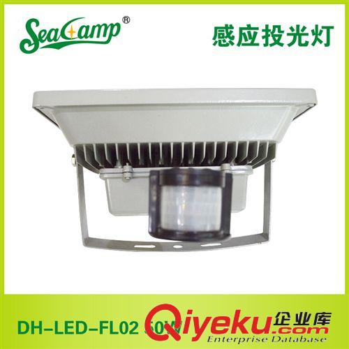 【高品質(zhì)】供應(yīng)大海照明感應(yīng)led投光燈DH-LED-FL02 50W 廠家批發(fā)