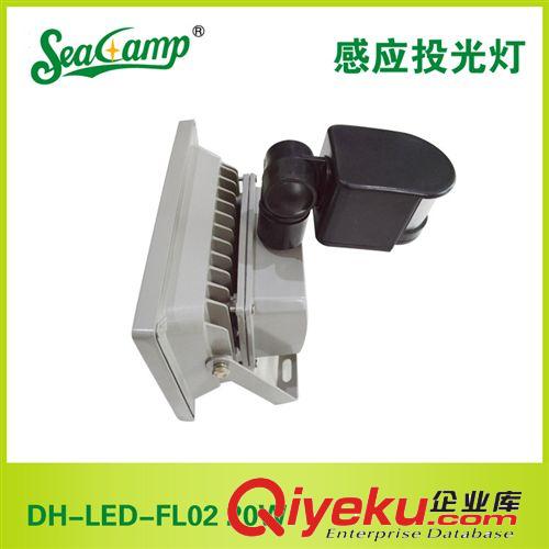 【高品質(zhì)】供應(yīng)大海照明感應(yīng)投光燈DH-LED-FL02 20W廠家批發(fā)原始圖片2