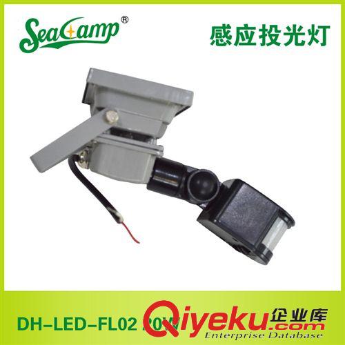 【高品質(zhì)】供應(yīng)大海照明感應(yīng)投光燈DH-LED-FL02 20W廠家批發(fā)原始圖片3