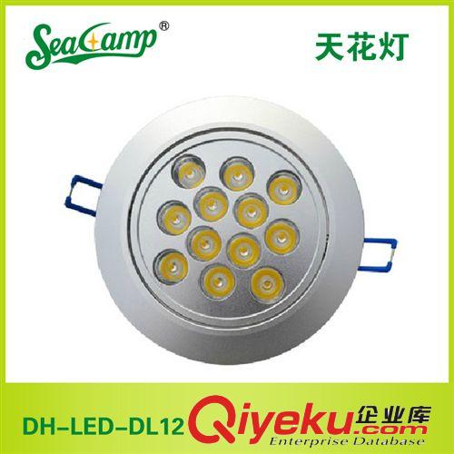 【企業(yè)集采】廠家批發(fā) led射燈 led天花燈 12W 量大從優(yōu)原始圖片2