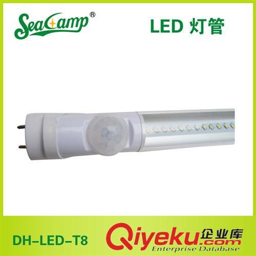 供應(yīng)大海照明DH-LED-T8節(jié)能照明燈管 廠家批發(fā) led日光燈管