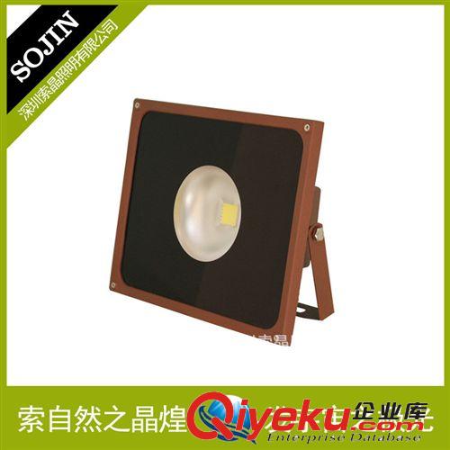 【優(yōu)質(zhì)】強(qiáng)勢(shì)整合 cdj位 LED投光燈 聚光投光燈 50W*