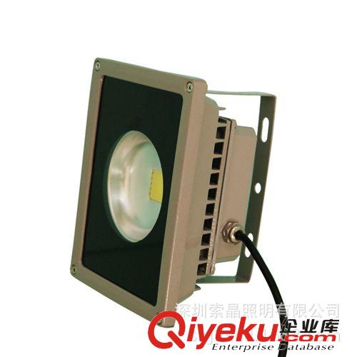【優(yōu)質】強勢整合 cdj位 LED投光燈 聚光投光燈 20W*原始圖片3