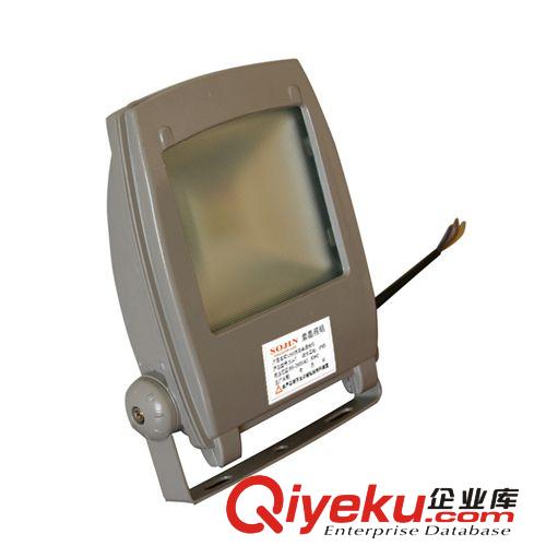 【優(yōu)質(zhì)】{zx1}款式 強(qiáng)勢(shì)整合 LED背包燈30W LED投光燈30W原始圖片2