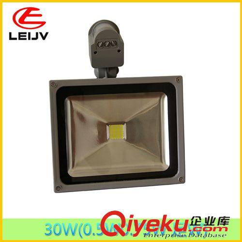 LED精品燈 大功率LED泛光燈 SJ-010-10WLED投光燈 廠家批發(fā)~