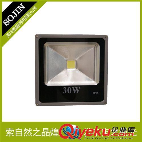 專業(yè)提供 LED平板投光燈 led投光燈30W 節(jié)能投光燈 品質(zhì)保證*