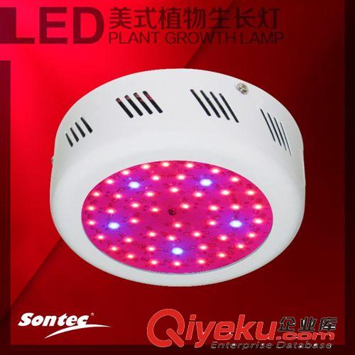 三泰大棚蔬菜生長燈 50W多肉植物花卉LED植物生長燈 植物補光燈原始圖片2