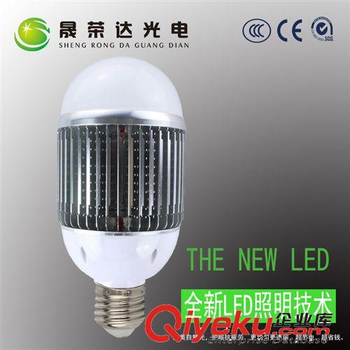 30WLED球泡燈 30W鰭片球泡燈 LED鰭片散熱30W E40燈頭 工廠照明燈