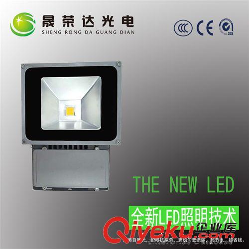 80W 100W 投光燈 LED投光燈廠家 戶外照明 廣告招牌亮化工程