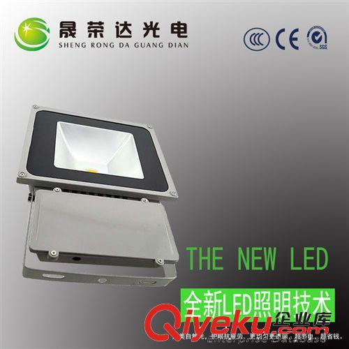 80W 100W 投光燈 LED投光燈廠家 戶外照明 廣告招牌亮化工程