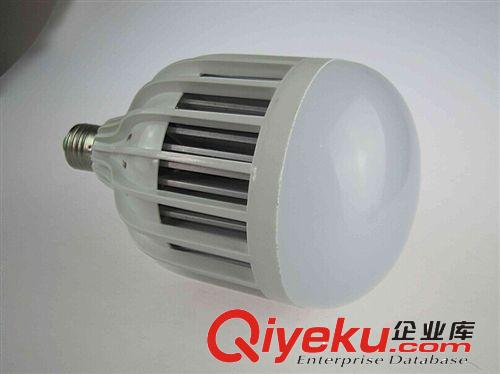 工程燈 36W 塑料 高亮度 節能 球泡燈 LED球泡 廠家直銷