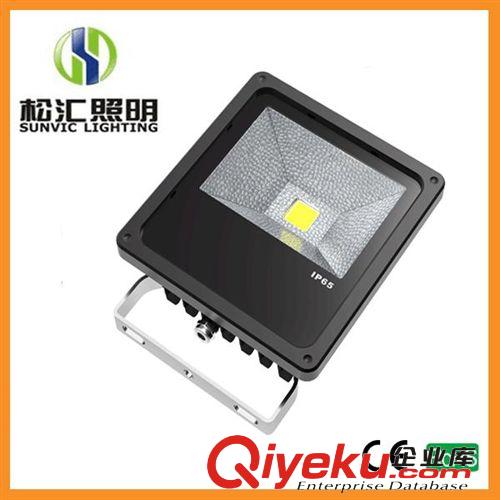 20W LED投光燈  保質(zhì)兩年 led戶外廣告射燈  投光燈 20wled