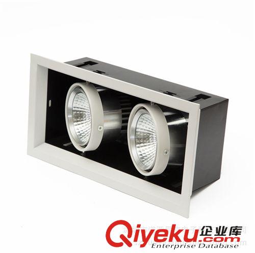 諾亞星空 LED射燈 廠家直銷  LED 射燈 雙頭斗膽射燈（COB 2X10W)原始圖片3