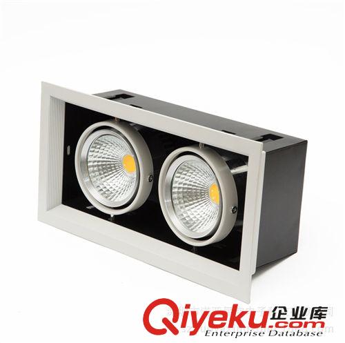 諾亞星空 LED射燈 廠家直銷(xiāo) LED 雙頭斗膽射燈（COB 2X10W)