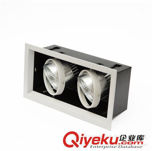 諾亞星空 LED射燈 廠家直銷(xiāo) LED 雙頭斗膽射燈（COB 2X10W)