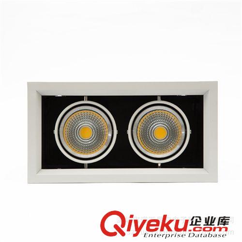 諾亞星空 LED射燈 廠家直銷tj 射燈 雙頭斗膽射燈（COB 2X10W)原始圖片2